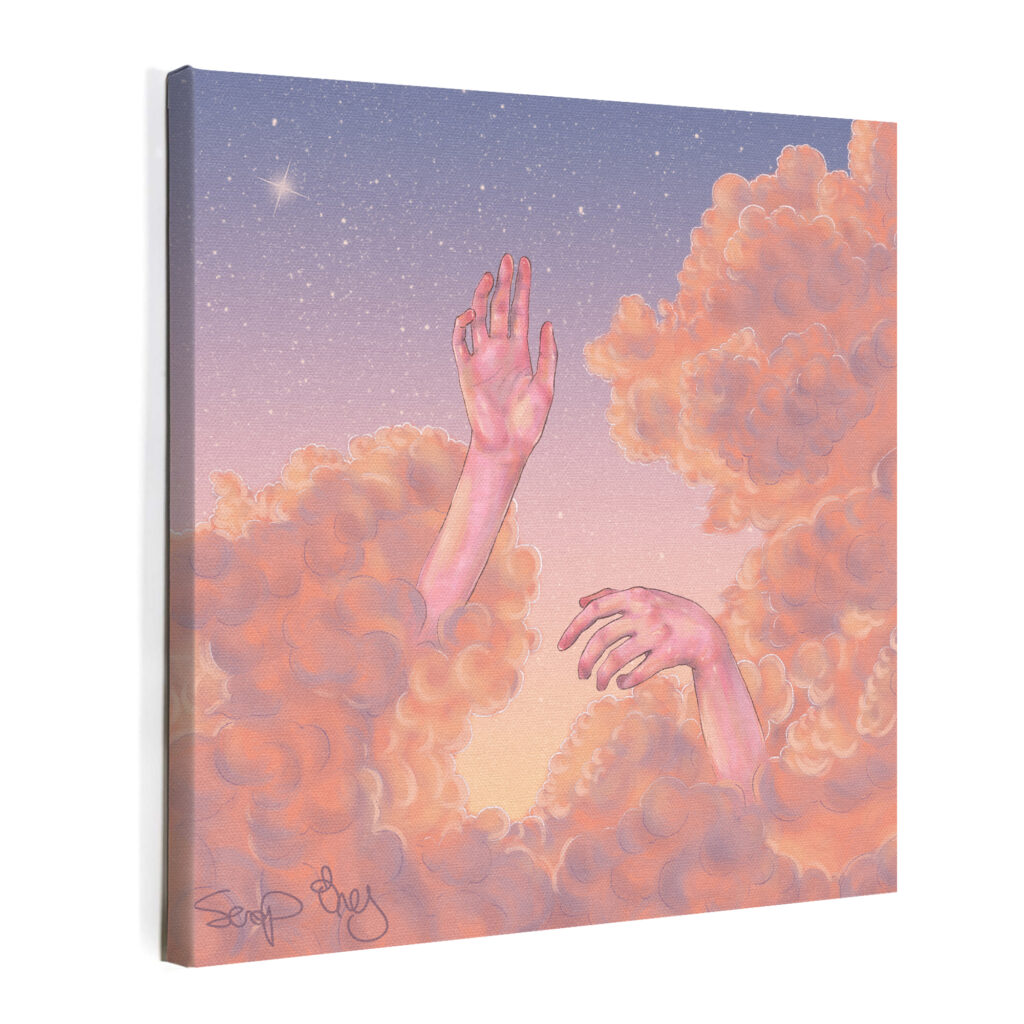 SALMON SKY | Artwork